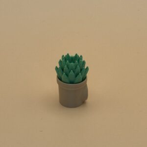 Aloe Cactus Magnet
